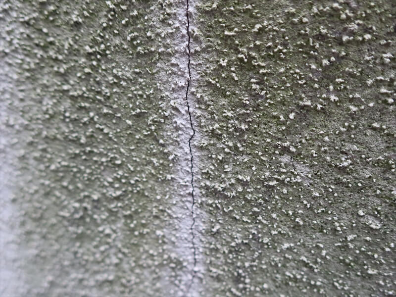 ひび割れ部分は壁の湿度が違うのか、コケ汚れがつかないこともあります。